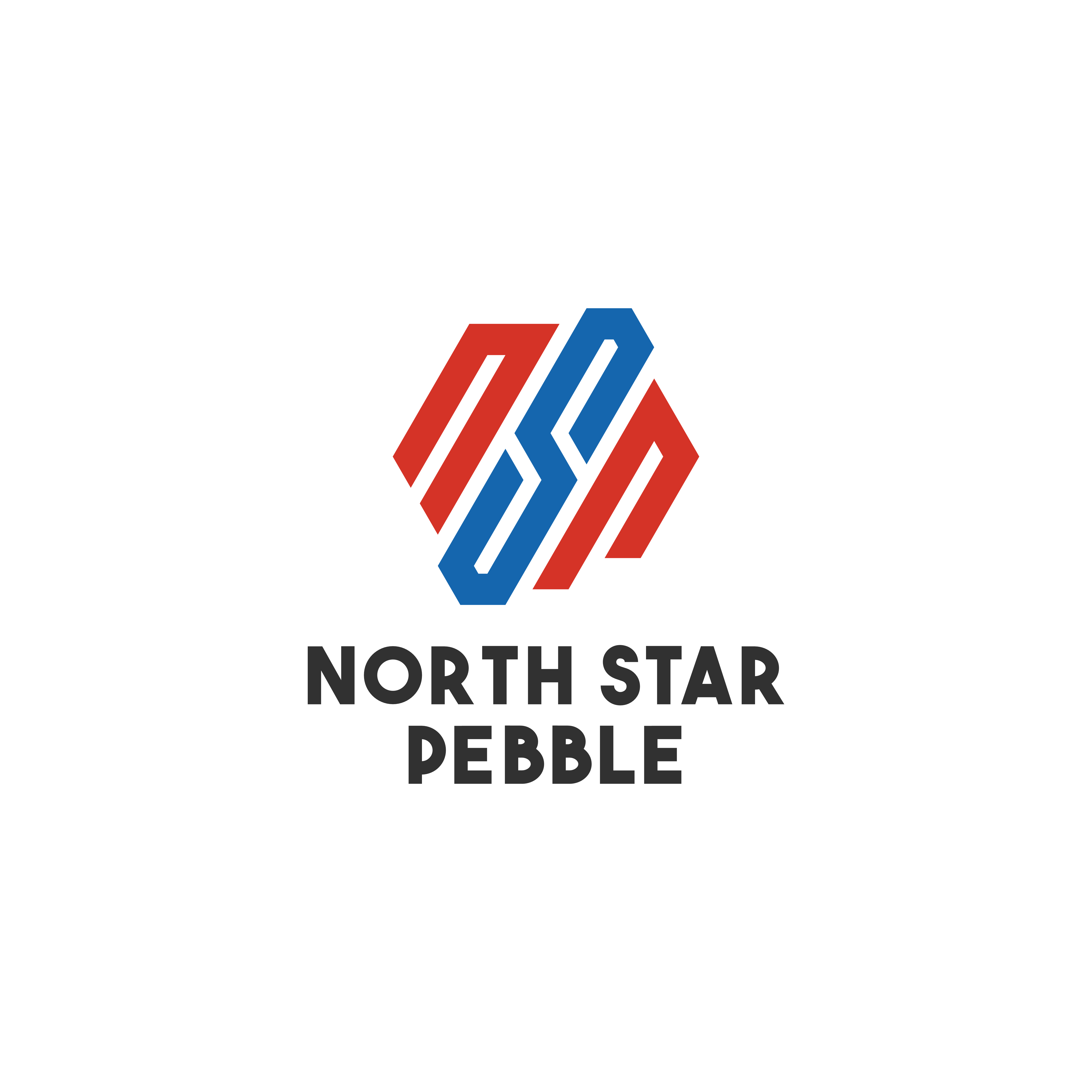 Logo Design by discoverlogo1 for North Star Pebble, LLC | Design #31701267
