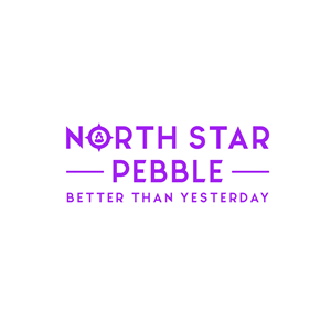 Logo Design by the3kings for North Star Pebble, LLC | Design: #31711206