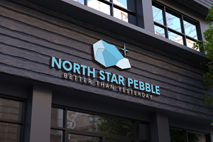 Logo Design by Kavth for North Star Pebble, LLC | Design: #31726398