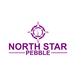 Diseño de Logo por MAHBUB98 para North Star Pebble, LLC | Diseño: #31729215