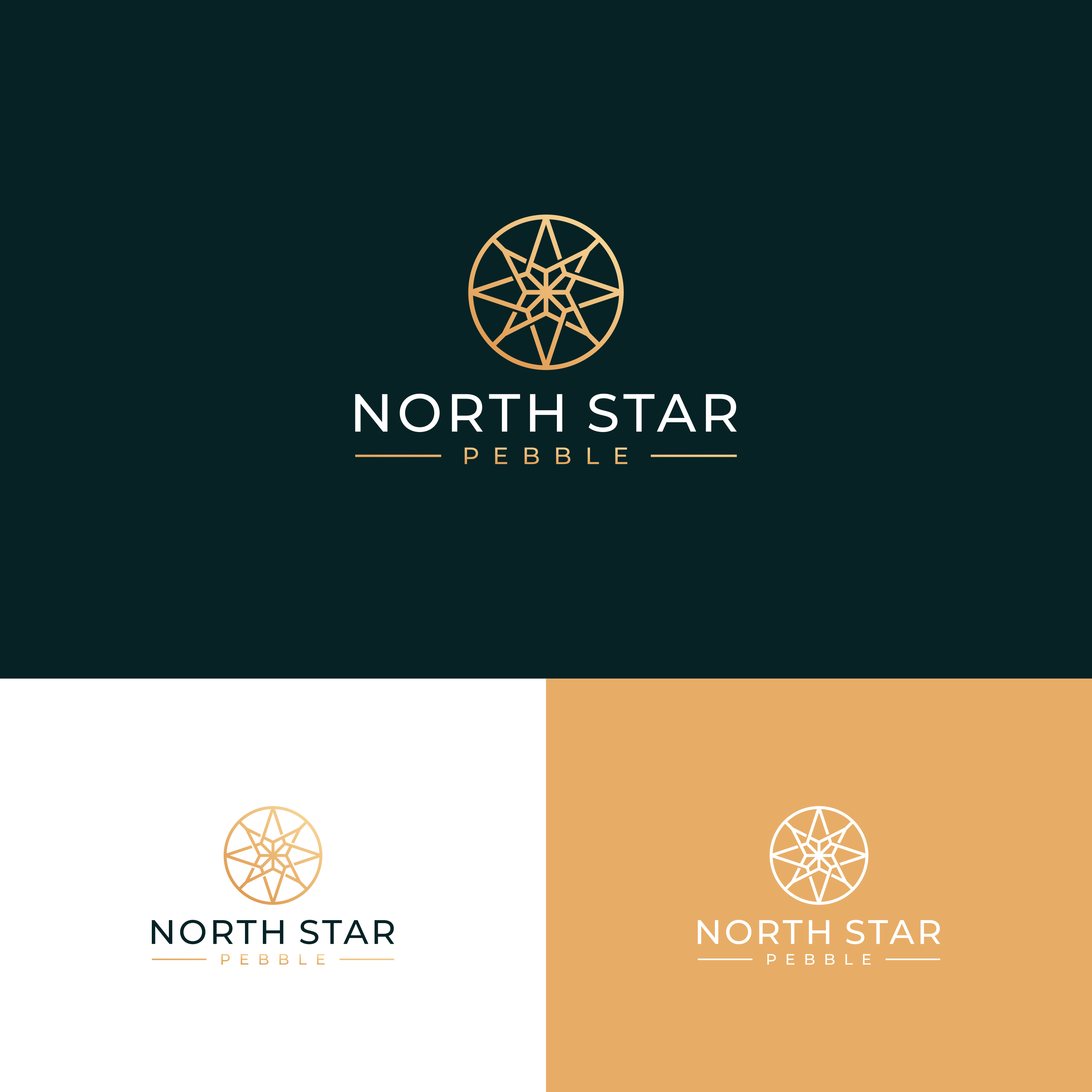 Logo Design by ge.logo for North Star Pebble, LLC | Design #31692513
