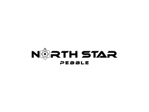 Logo Design by VectorForge for North Star Pebble, LLC | Design: #31723778