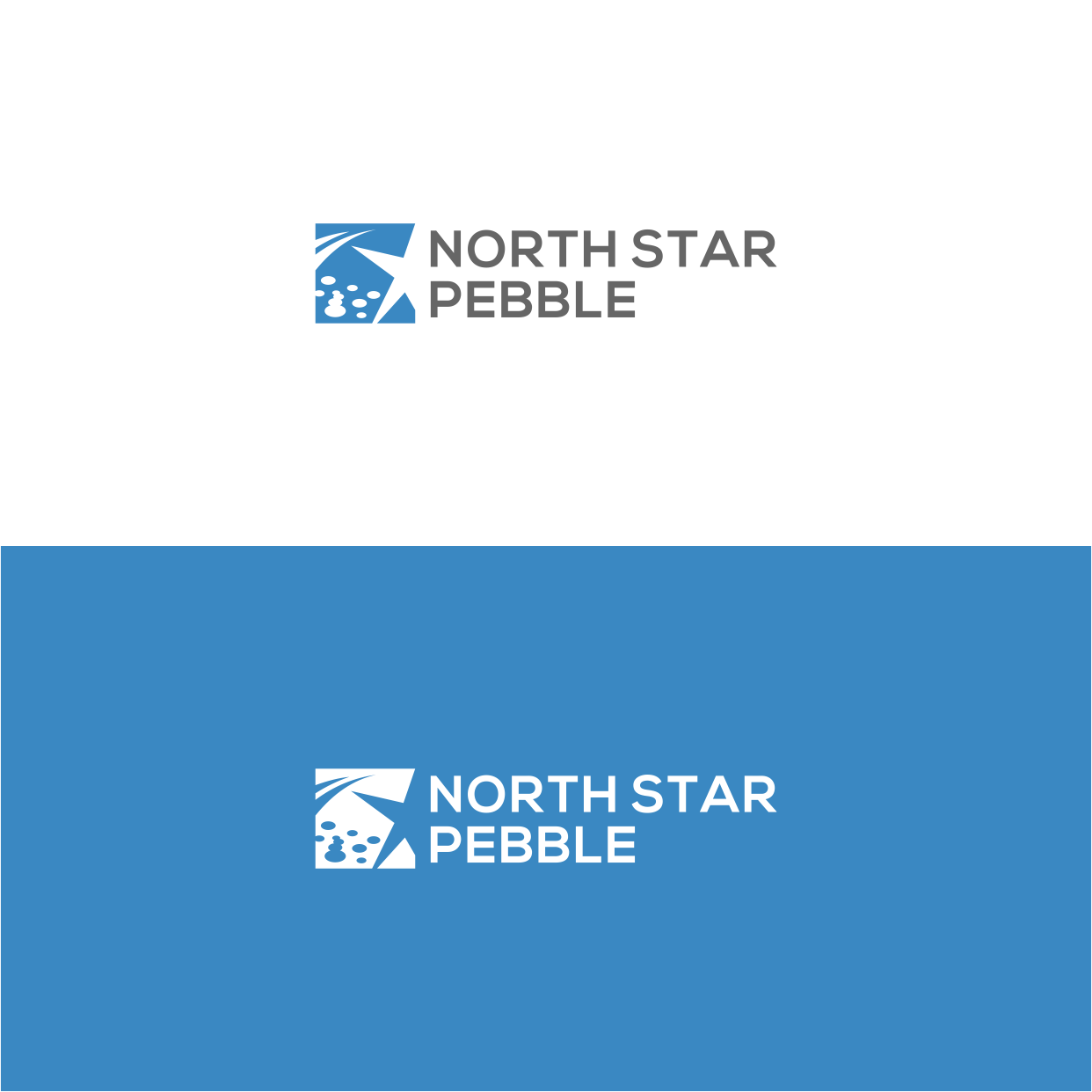 Logo Design by Kaze56 for North Star Pebble, LLC | Design #31698804