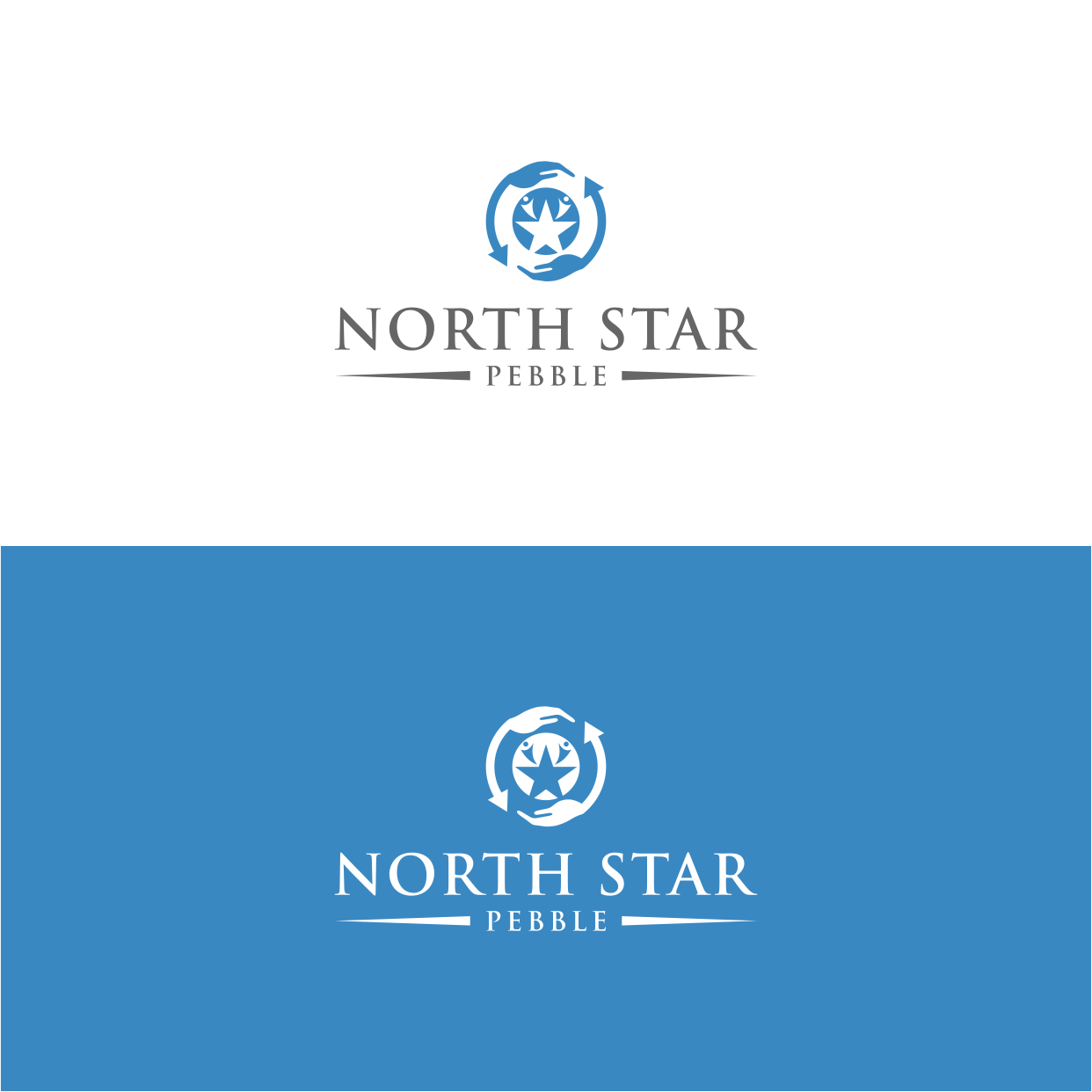 Logo Design by Kaze56 for North Star Pebble, LLC | Design #31698939