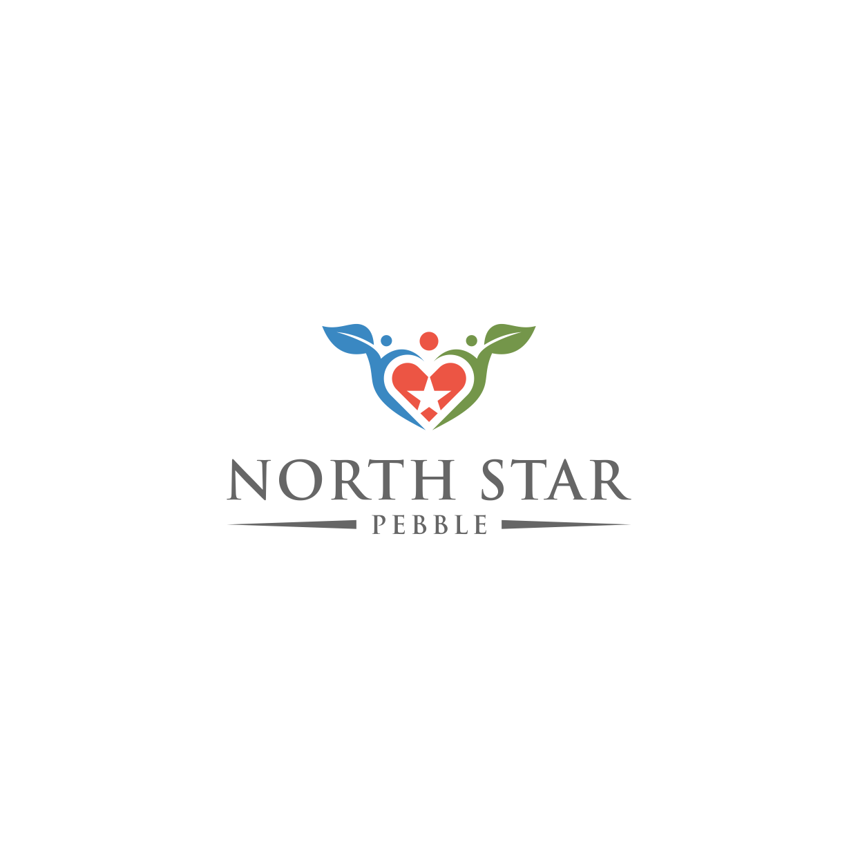 Logo-Design von Kaze56 für North Star Pebble, LLC | Design #31699016