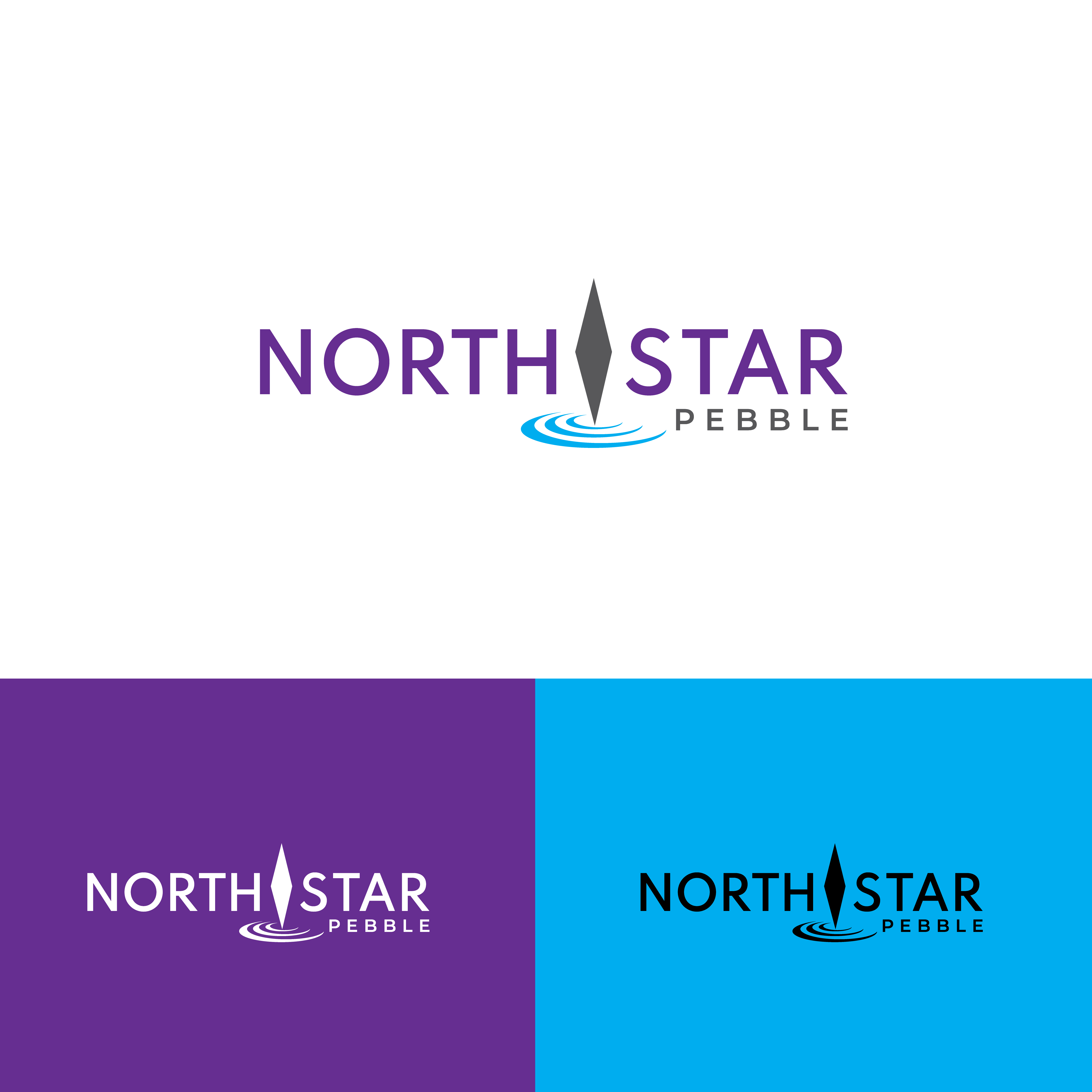 Logo Design by Suvendu.S for North Star Pebble, LLC | Design #31696024