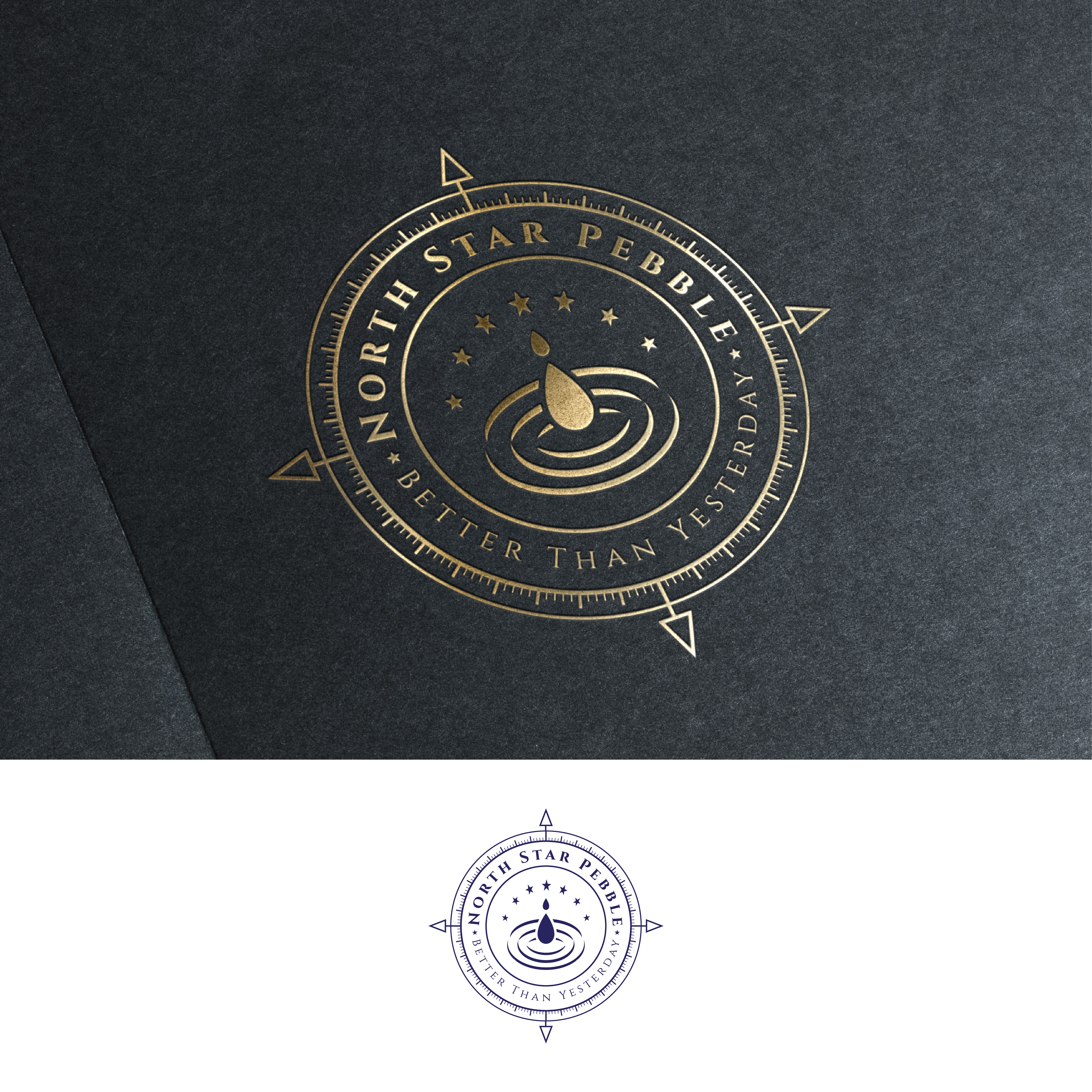Logo Design by Logoguru Abdullah for North Star Pebble, LLC | Design #31713182