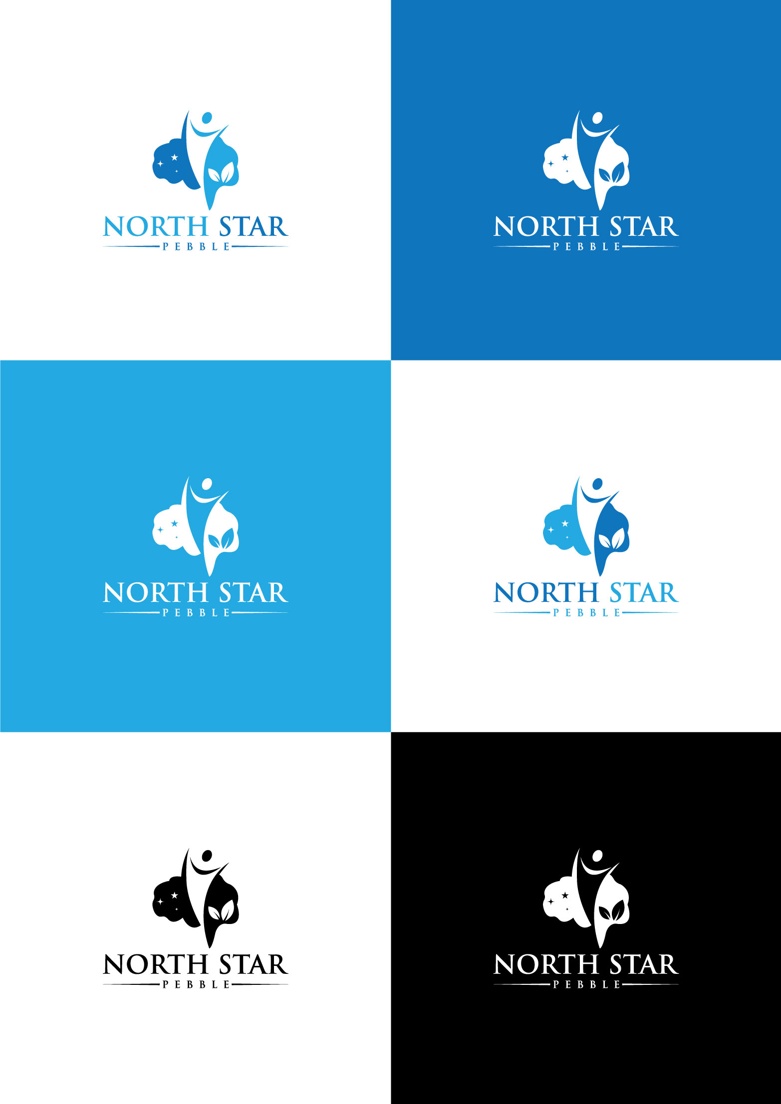 Logo Design by BE STRONG for North Star Pebble, LLC | Design #31692097