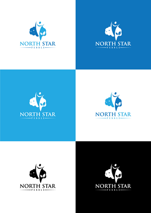 Logo Design by BE STRONG for North Star Pebble, LLC | Design: #31692097
