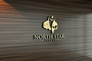 Logo Design by BE STRONG for North Star Pebble, LLC | Design: #31692099