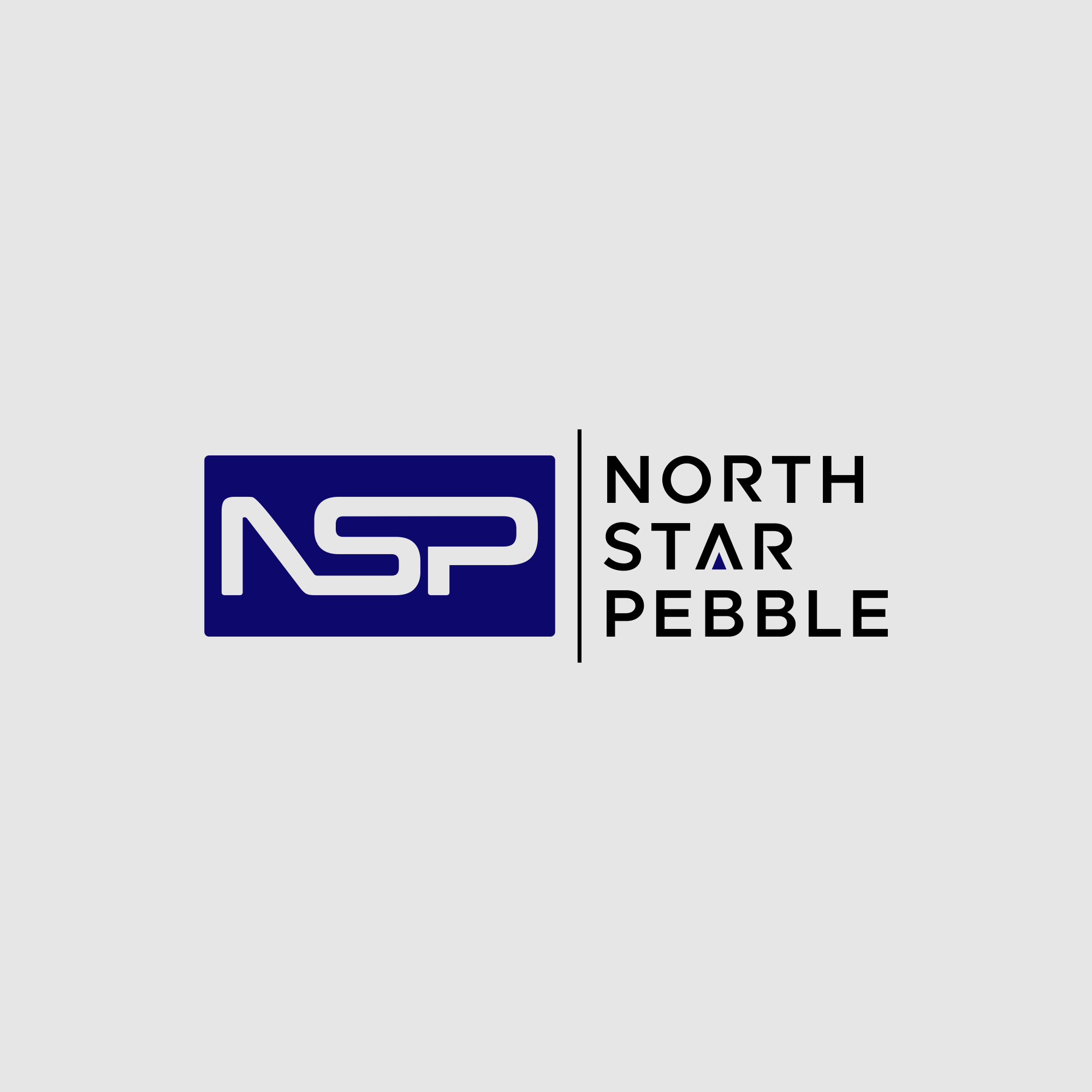 Logo Design by AQILA ™ for North Star Pebble, LLC | Design #31695570