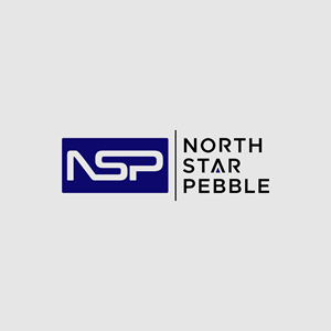 Logo Design by AQILA ™ for North Star Pebble, LLC | Design: #31695570