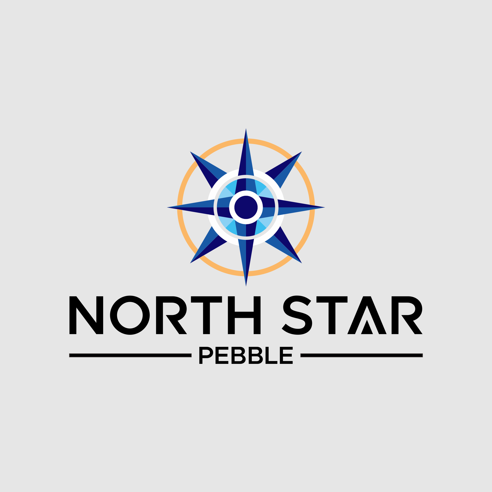 Logo Design by AQILA ™ for North Star Pebble, LLC | Design #31698478