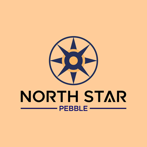 Logo Design by AQILA ™ for North Star Pebble, LLC | Design: #31701106