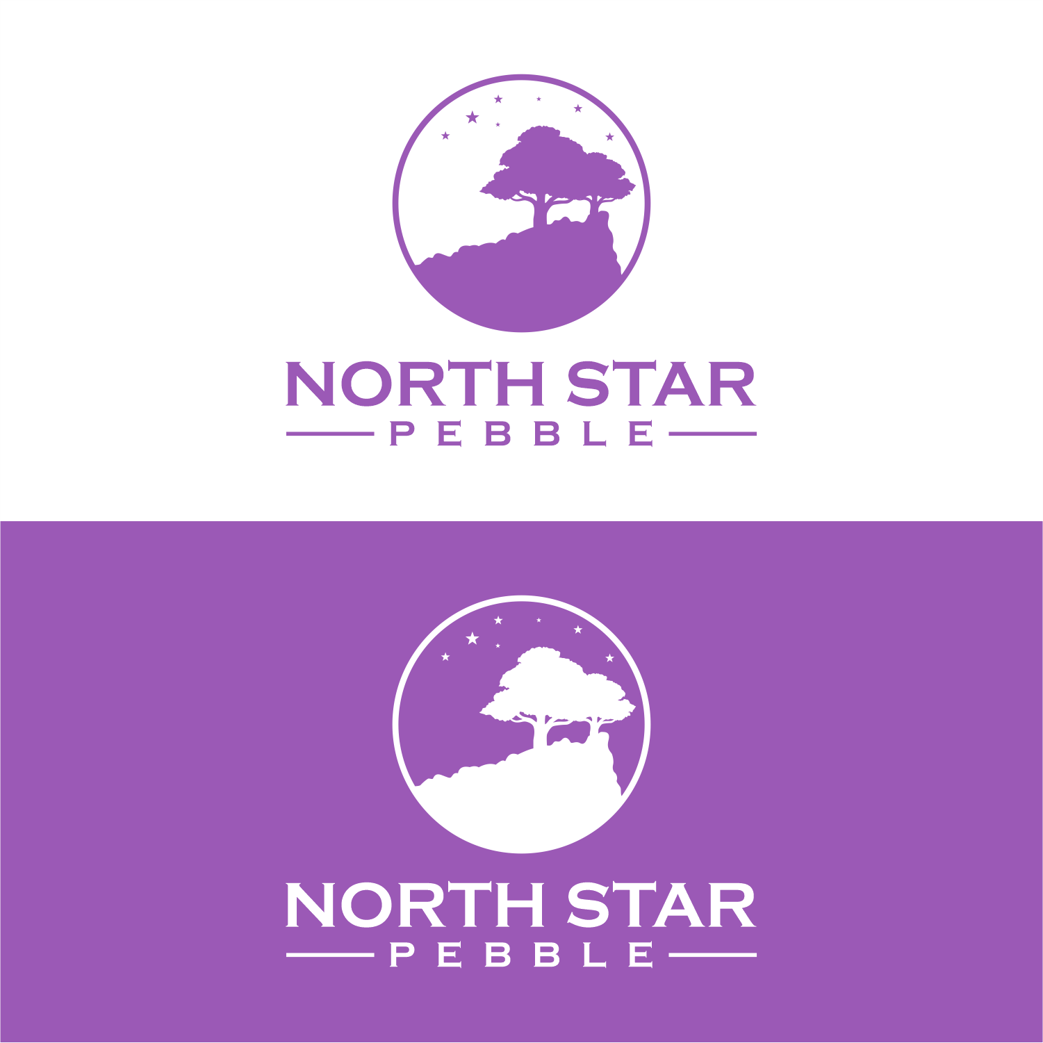 Logo Design by semarco for North Star Pebble, LLC | Design #31692700