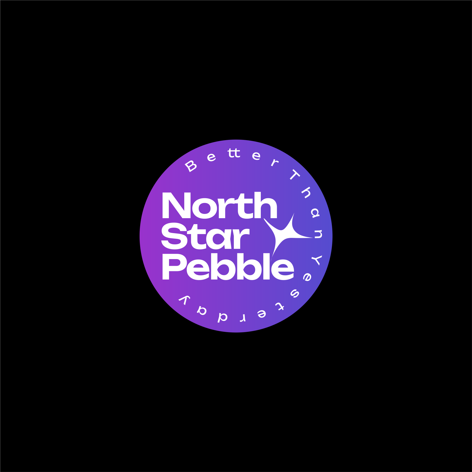 Logo Design by Logo by Serhii for North Star Pebble, LLC | Design #31737459