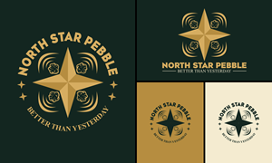 Logo Design by Afika_YN for North Star Pebble, LLC | Design: #31714196