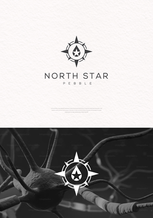Logo Design by apik. for North Star Pebble, LLC | Design: #31708525