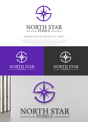 Logo Design by NasarLogo for North Star Pebble, LLC | Design: #31713333