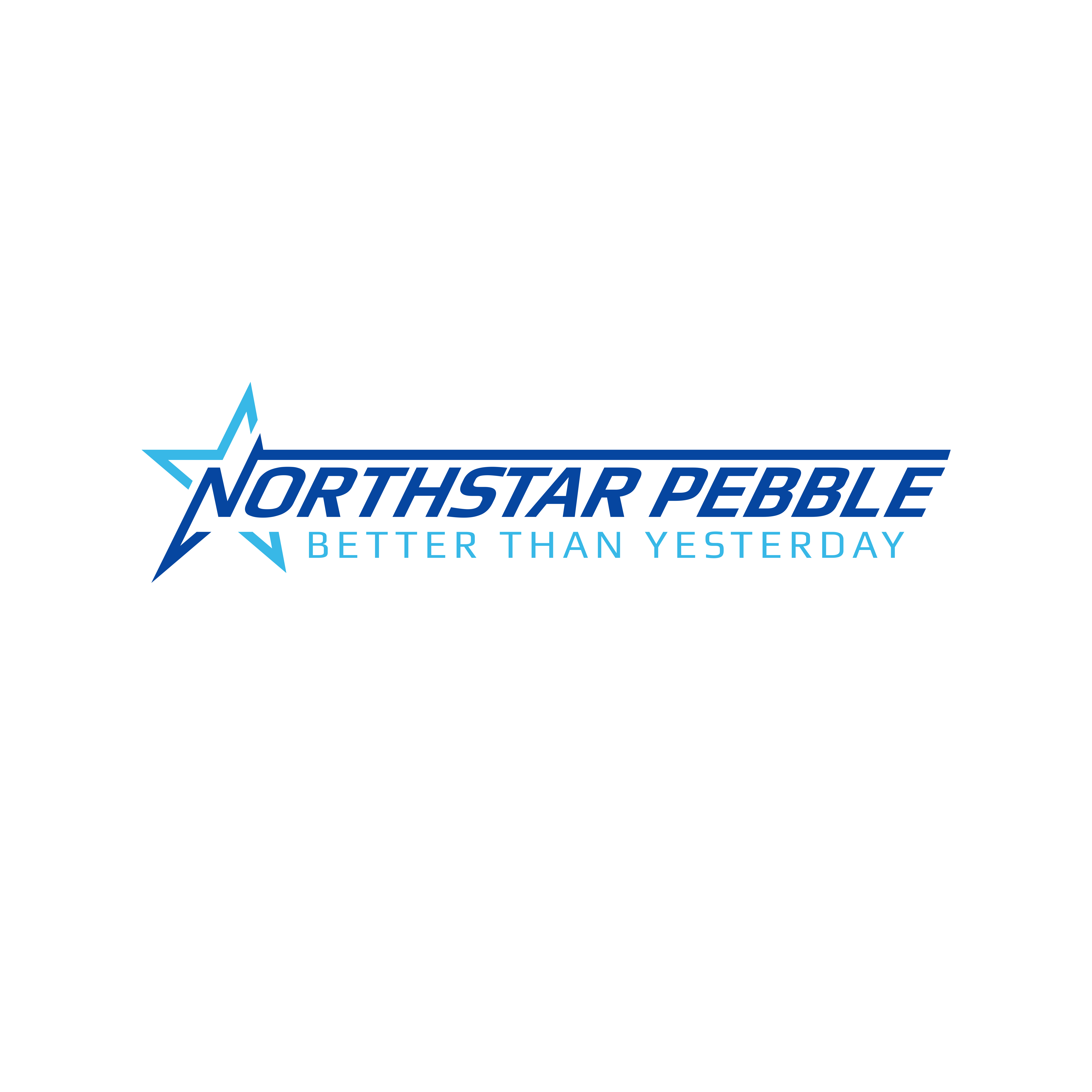 Diseño de Logo por Mahera23 para North Star Pebble, LLC | Diseño #31725476