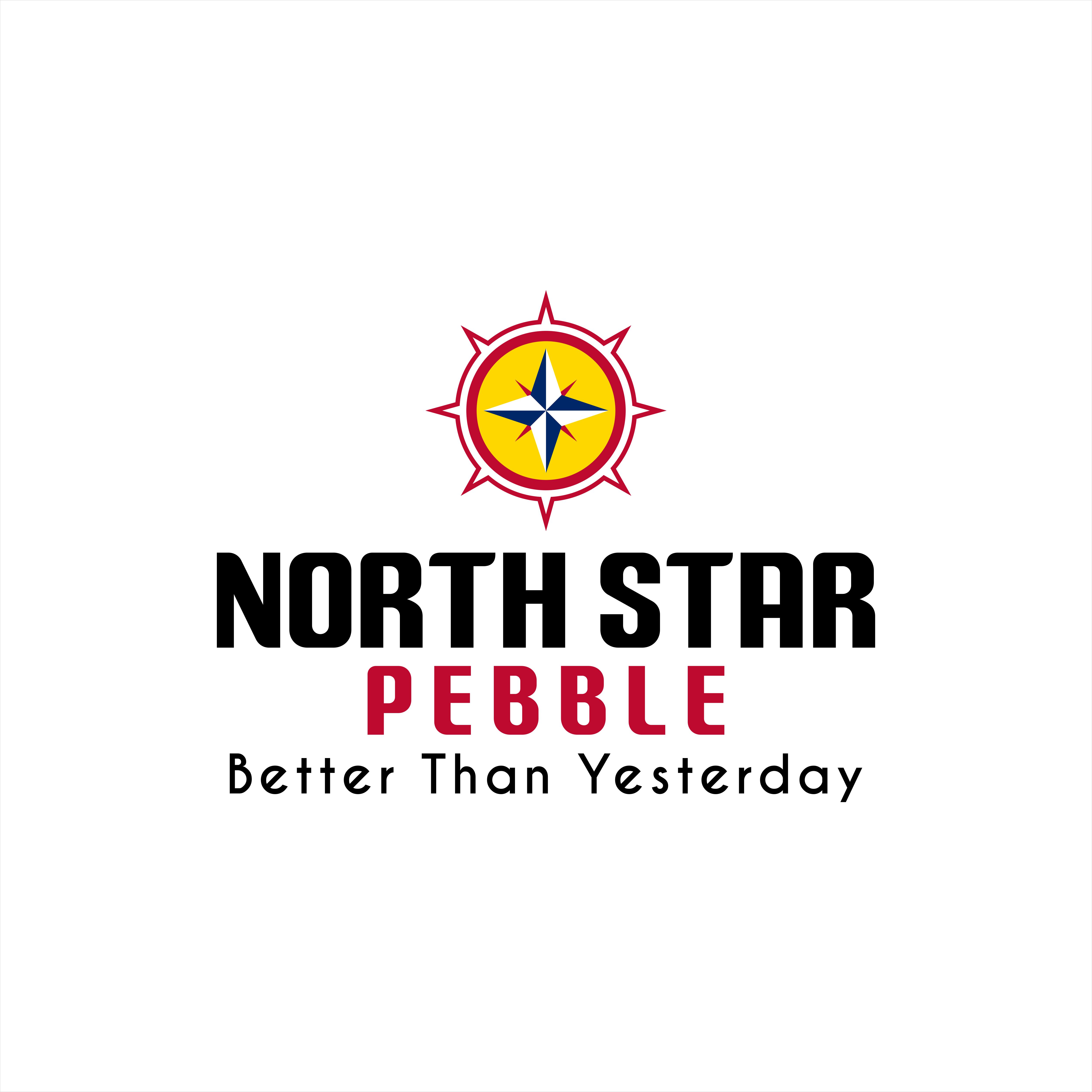 Logo Design by Basic98 for North Star Pebble, LLC | Design #31708479