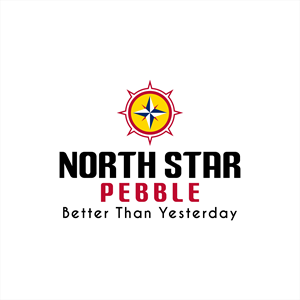 Diseño de Logo por Basic98 para North Star Pebble, LLC | Diseño: #31708479