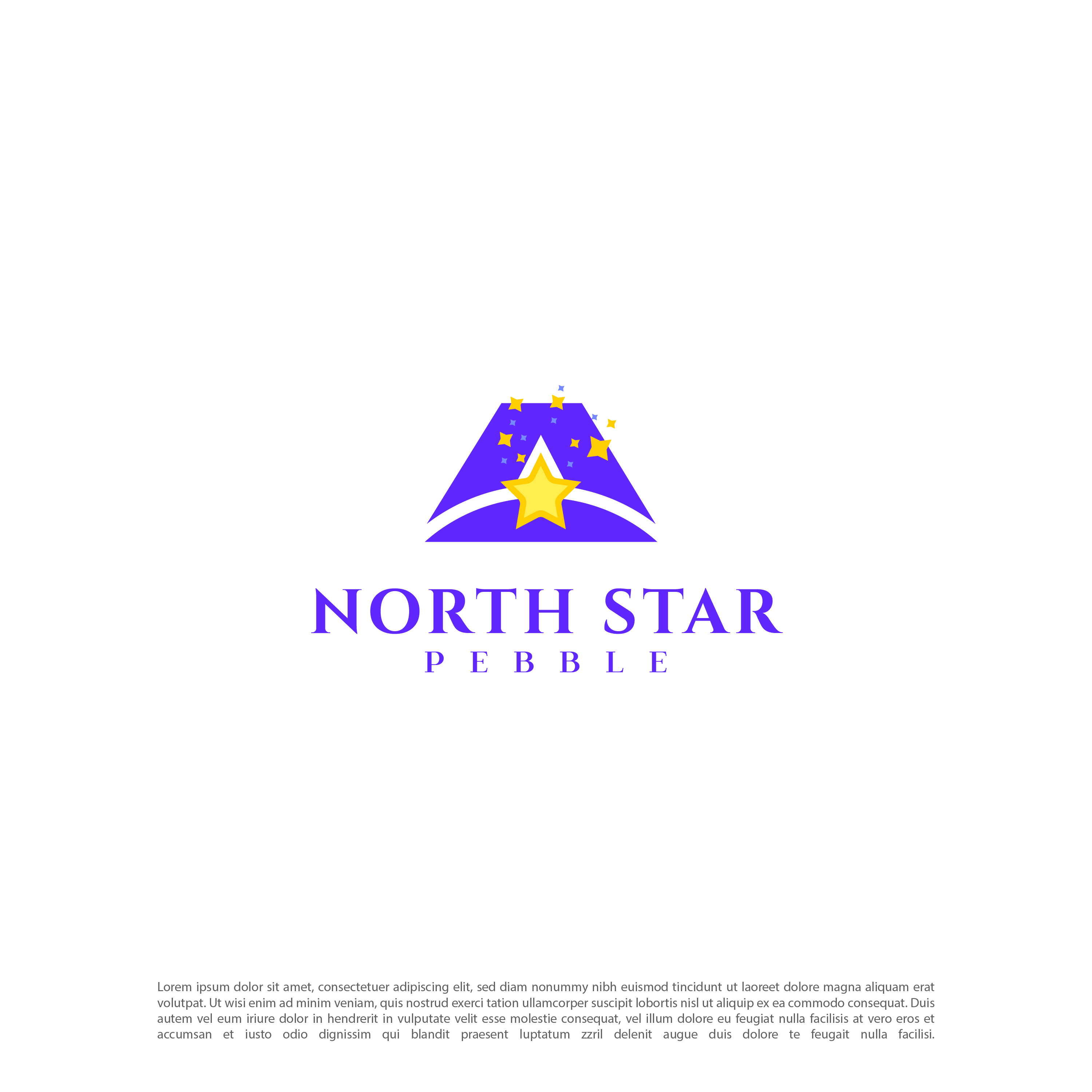 Logo Design by Echelon for North Star Pebble, LLC | Design #31706737