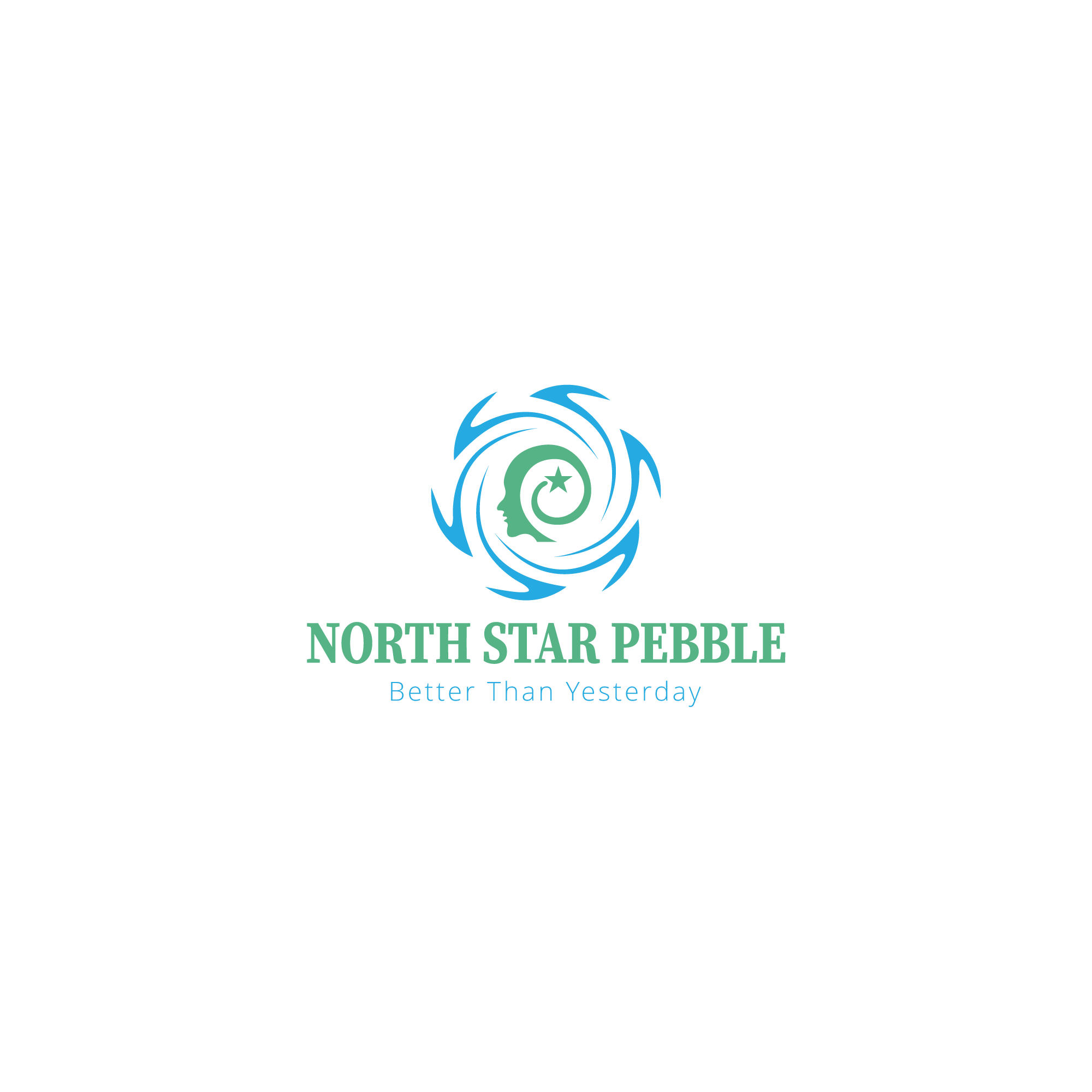 Logo Design by Chowdhury Fateha Elahi 2023 for North Star Pebble, LLC | Design #31705963