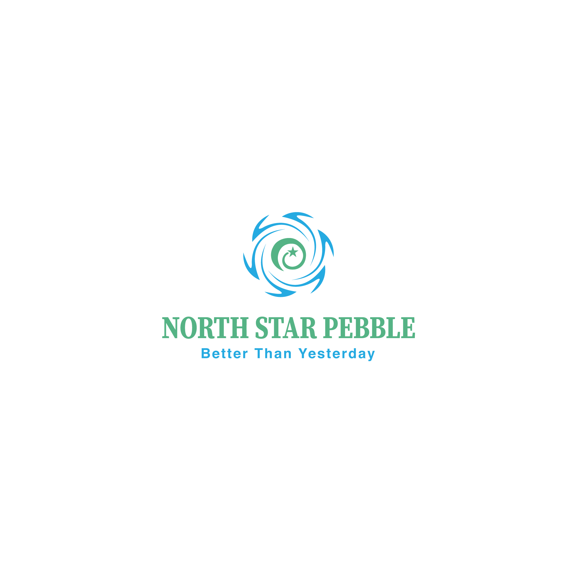 Logo Design by Chowdhury Fateha Elahi 2023 for North Star Pebble, LLC | Design #31713149