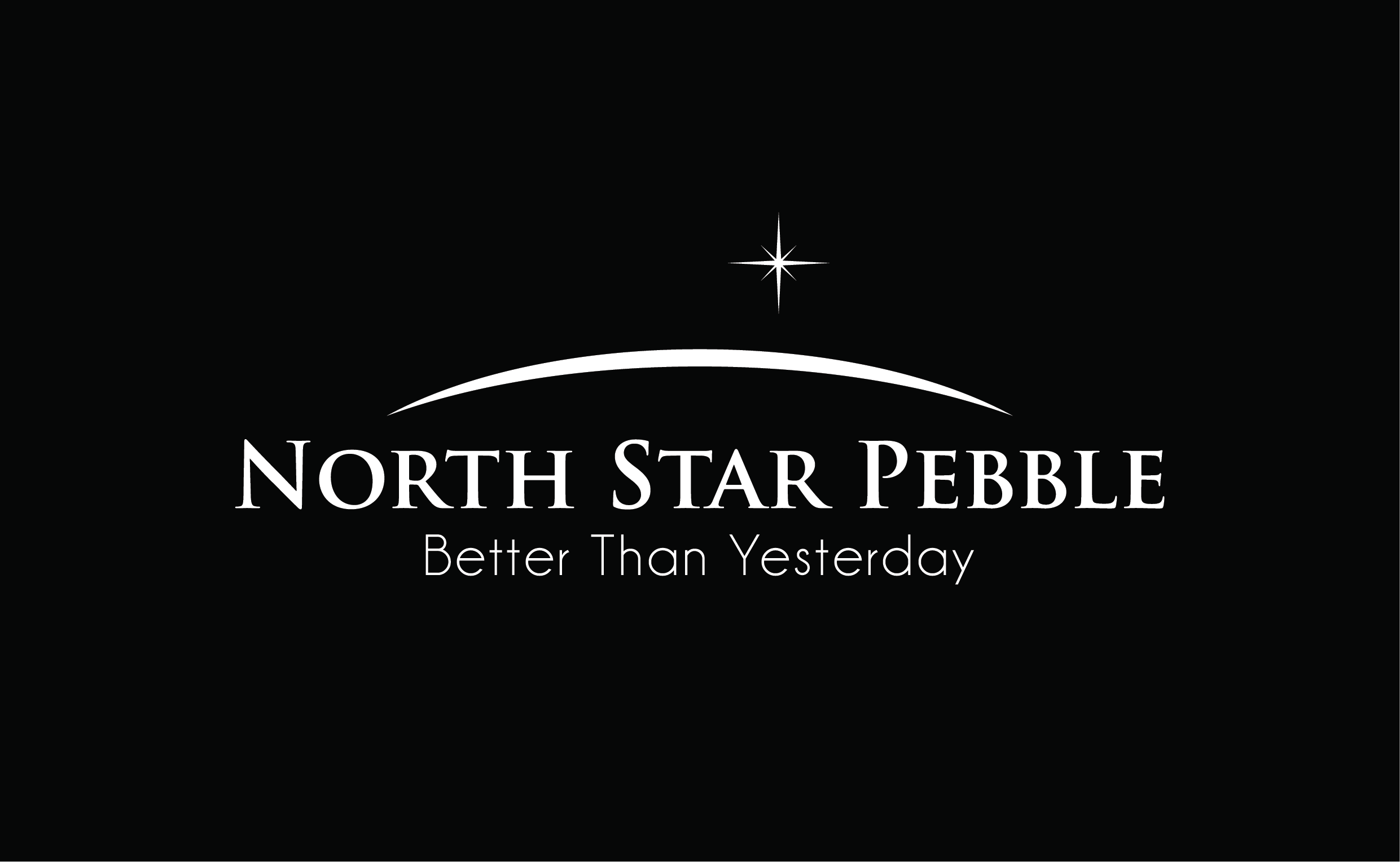 Diseño de Logo por Grafactory para North Star Pebble, LLC | Diseño #31705174