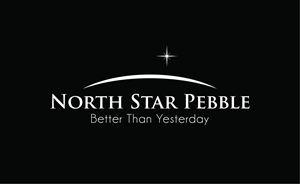 Diseño de Logo por Grafactory para North Star Pebble, LLC | Diseño: #31705174