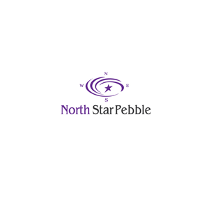 Logo Design by instudio for North Star Pebble, LLC | Design: #31692930