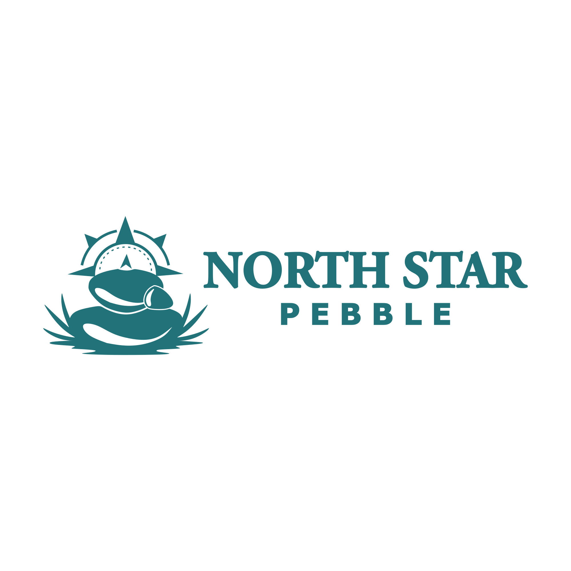 Design de Logo par alitjuara pour North Star Pebble, LLC | Design #31702502