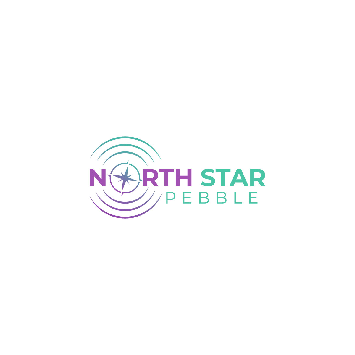 Logo Design by LAXMI DESIGNHUB for North Star Pebble, LLC | Design #31695612