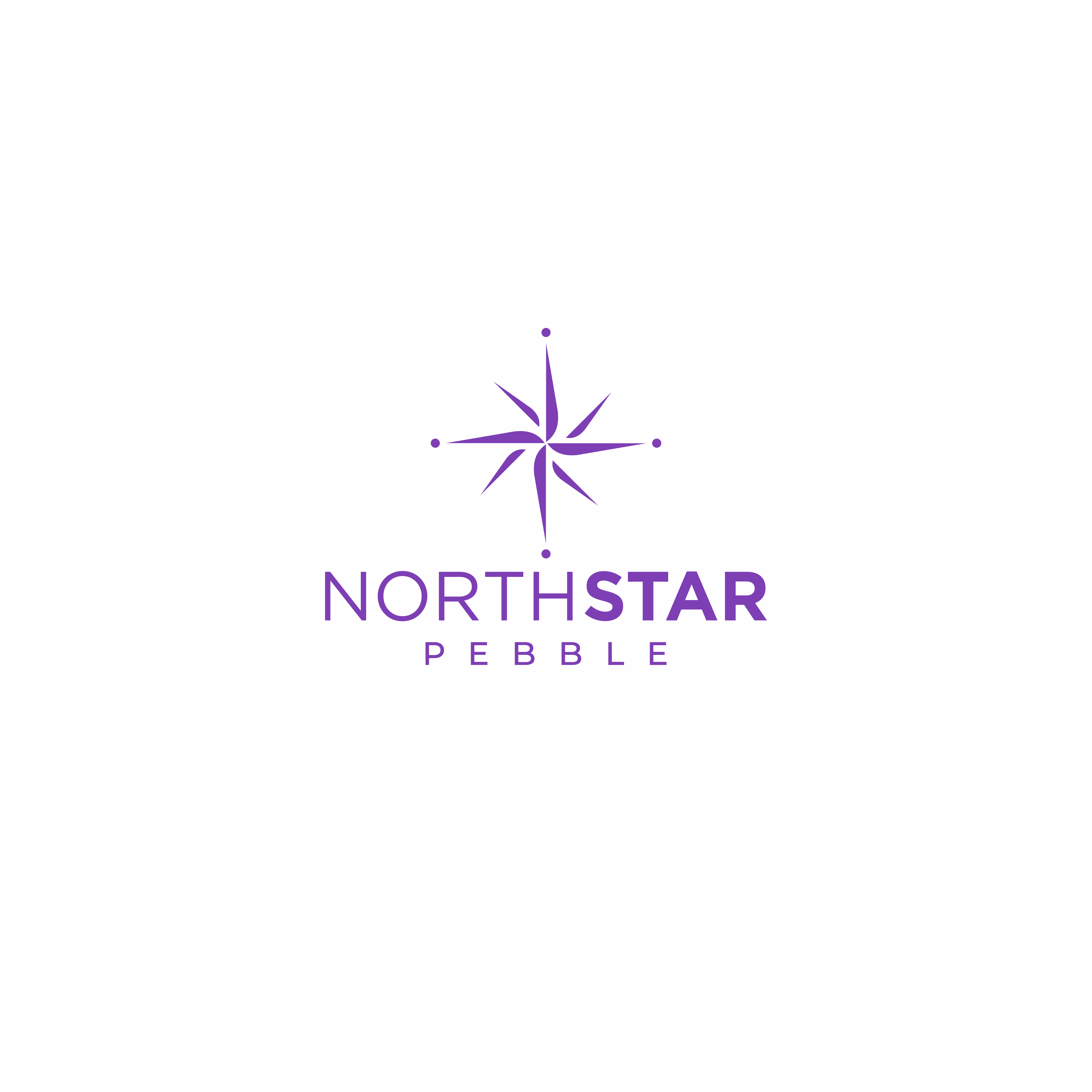 Logo Design by Maia Designer for North Star Pebble, LLC | Design #31706732