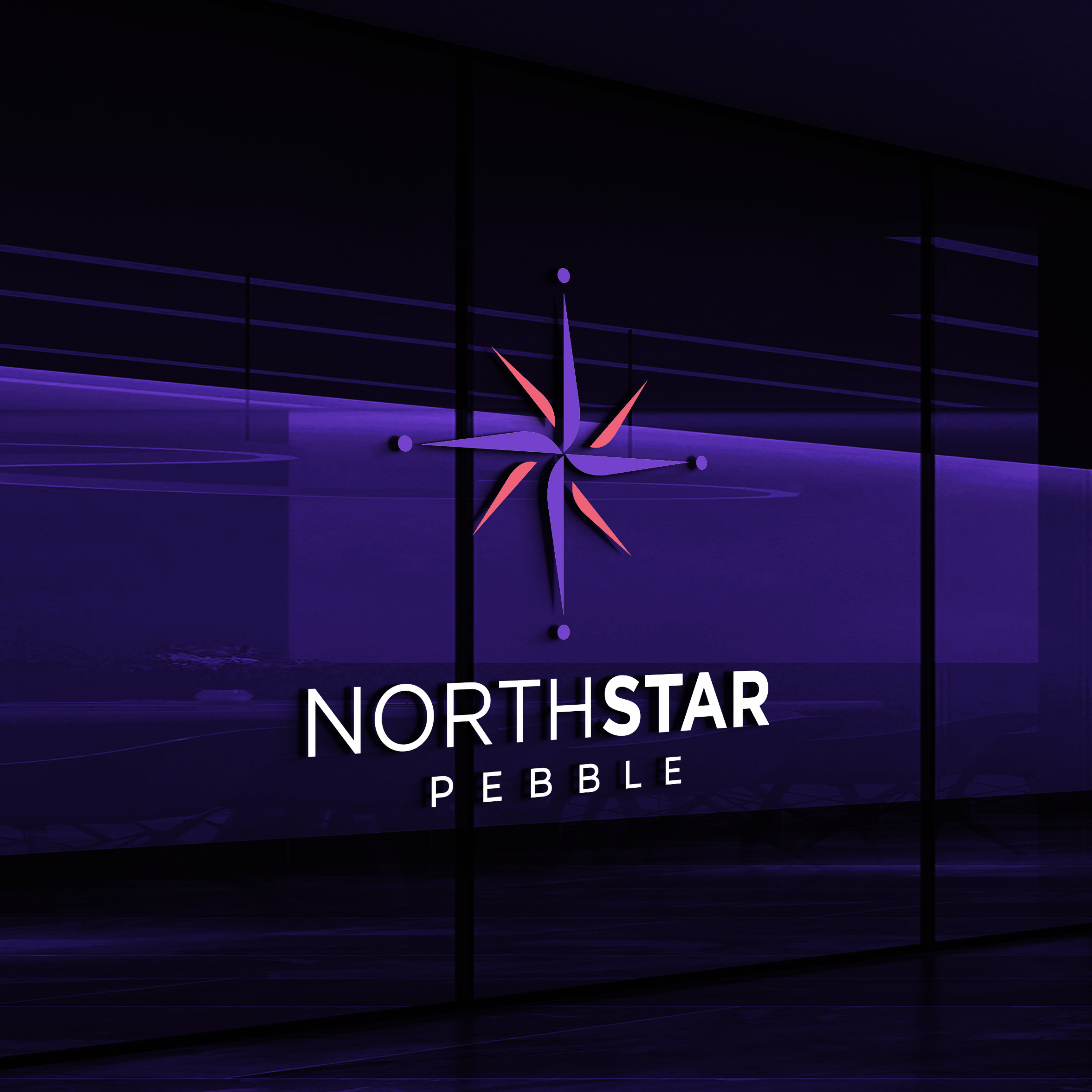 Logo Design by Maia Designer for North Star Pebble, LLC | Design #31713605