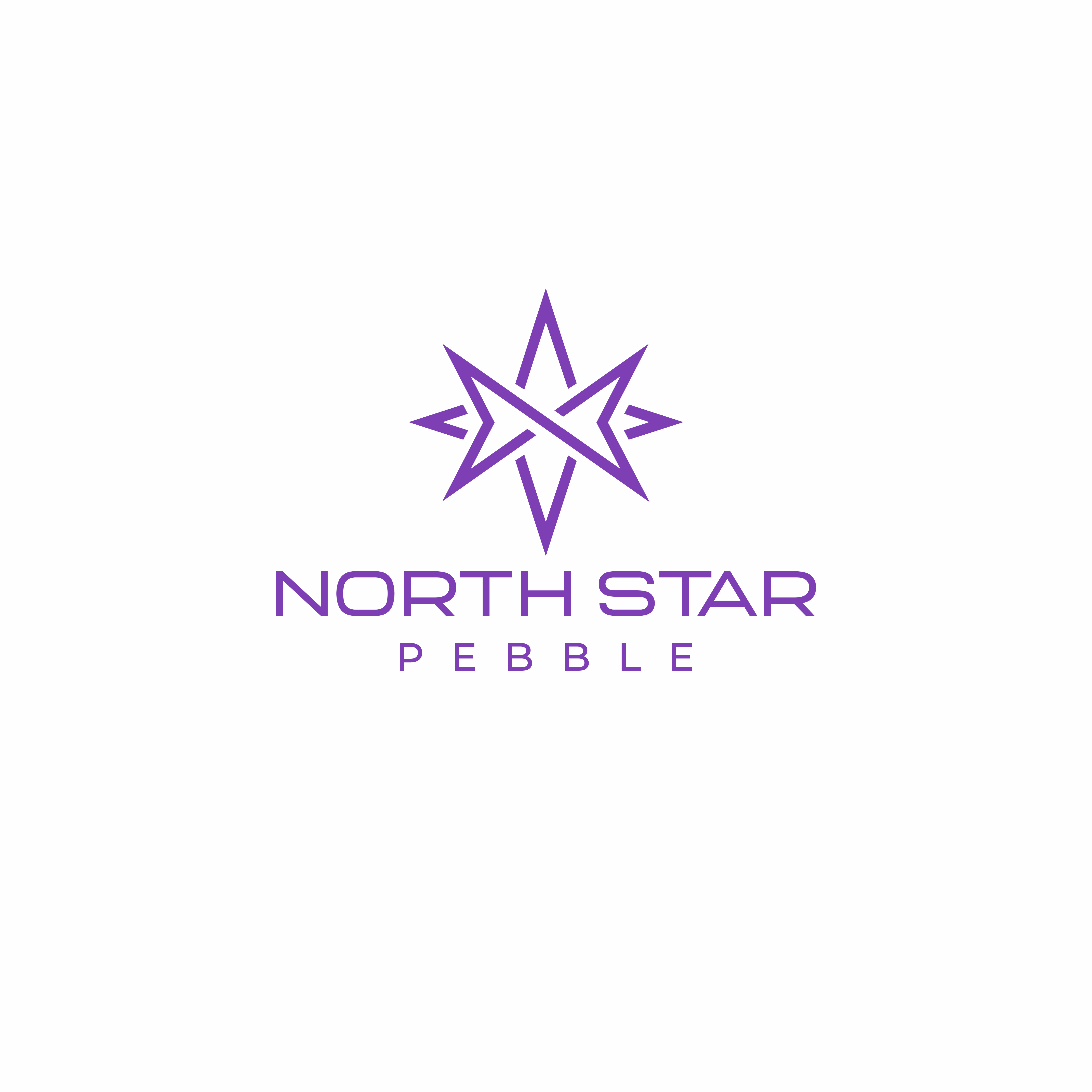 Logo Design by Maia Designer for North Star Pebble, LLC | Design #31713623