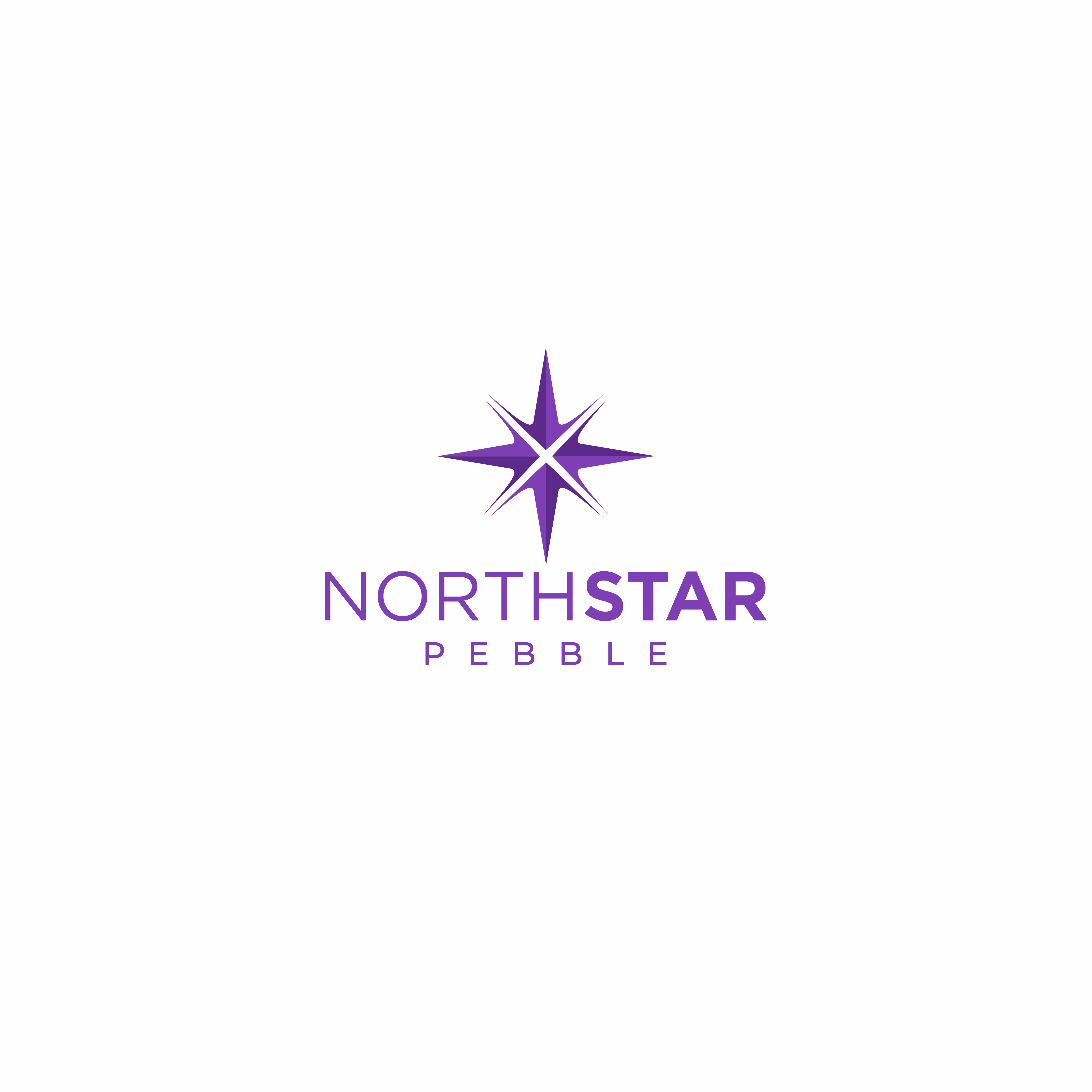 Logo Design by Maia Designer for North Star Pebble, LLC | Design #31721886