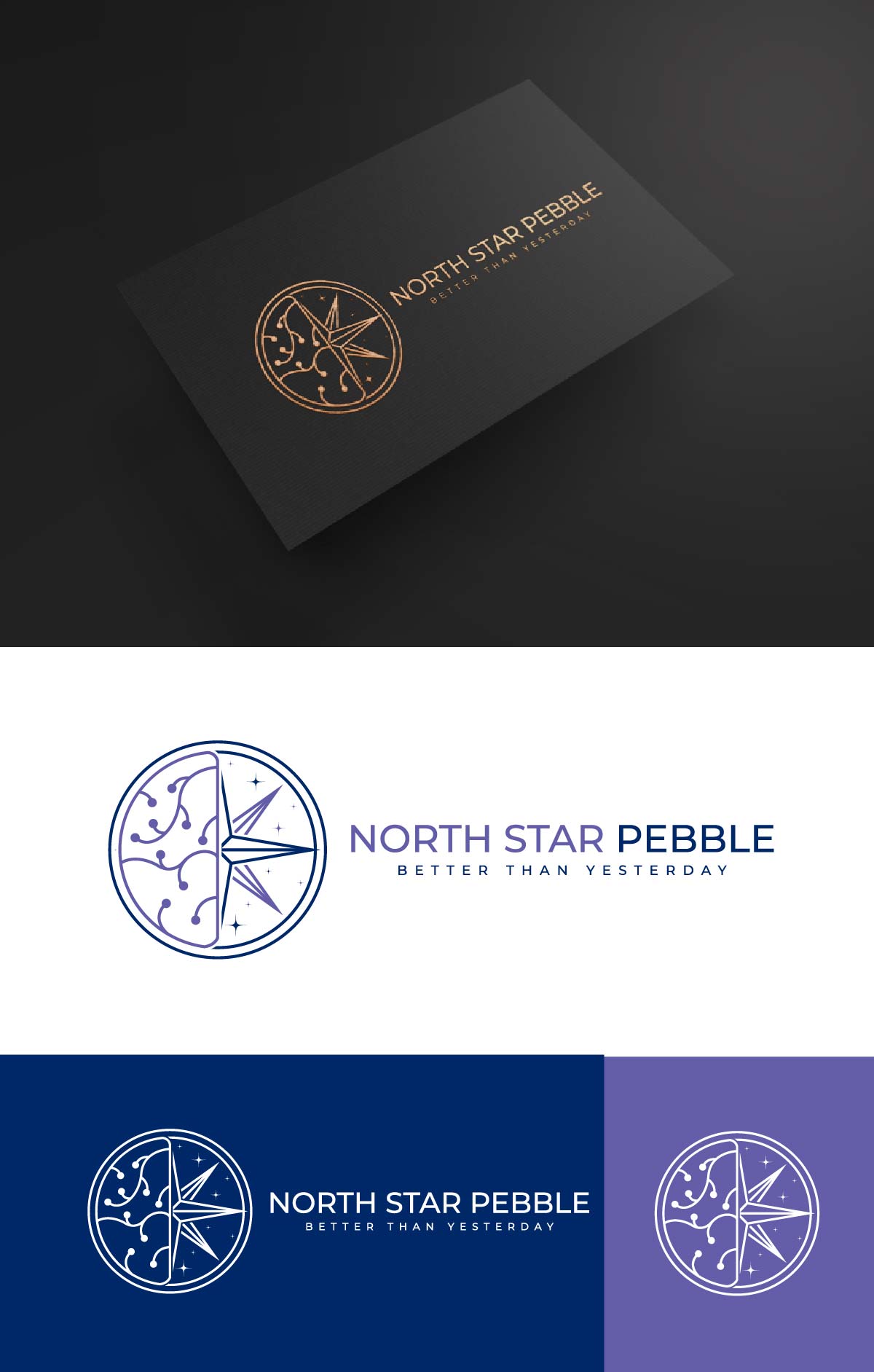Logo Design by fly  design for North Star Pebble, LLC | Design #31710983