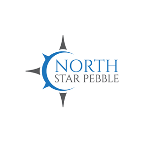 Logo Design by ahmeddesigner123 for North Star Pebble, LLC | Design: #31717642