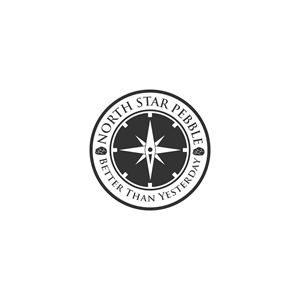 Logo Design by VinVick Design for North Star Pebble, LLC | Design: #31709362