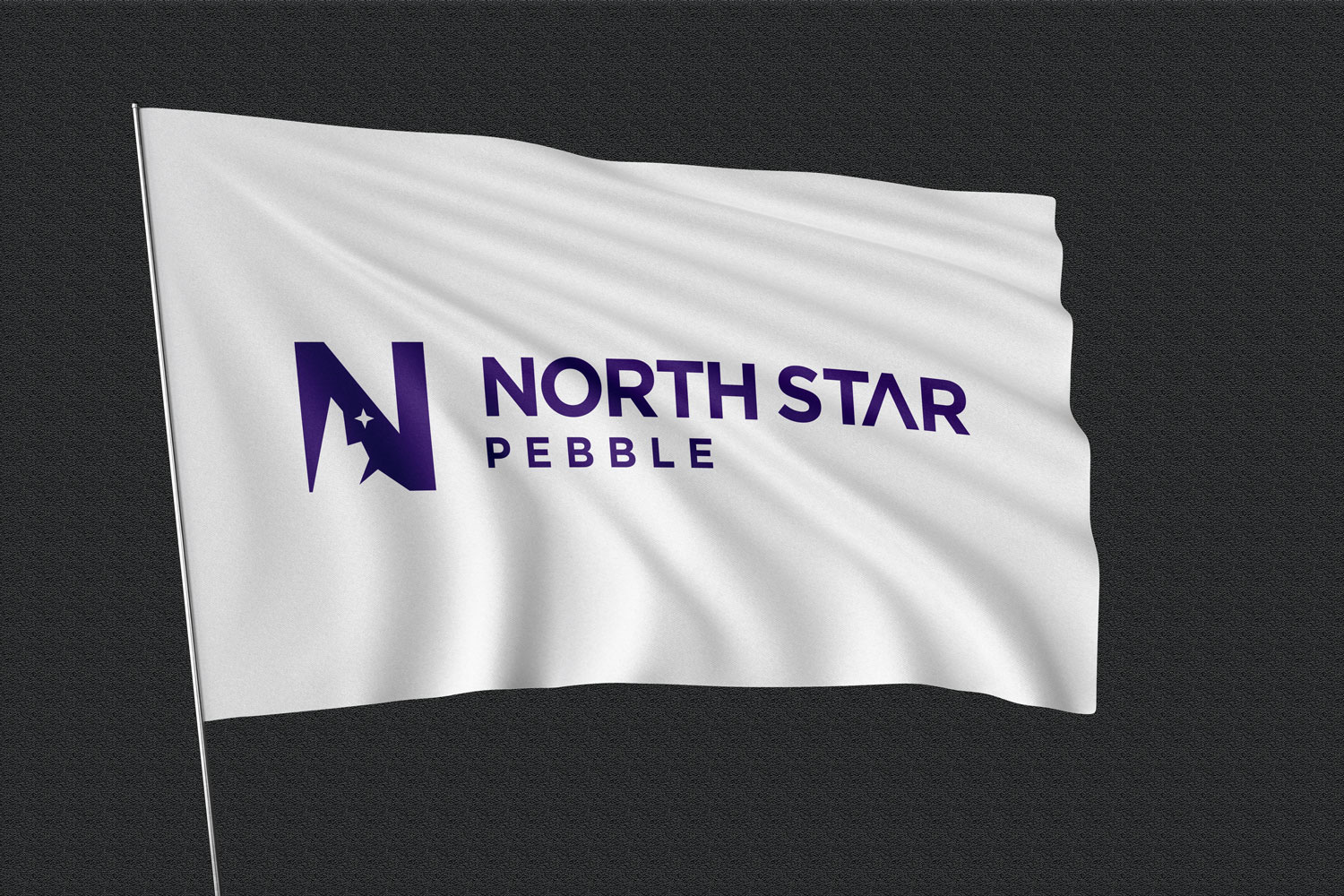 Logo Design by Abdul 20 for North Star Pebble, LLC | Design #31693606