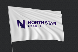 Logo Design by Abdul 20 for North Star Pebble, LLC | Design: #31693606