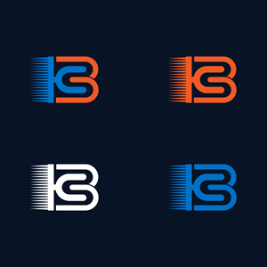 Logo Design by The Vectorize 