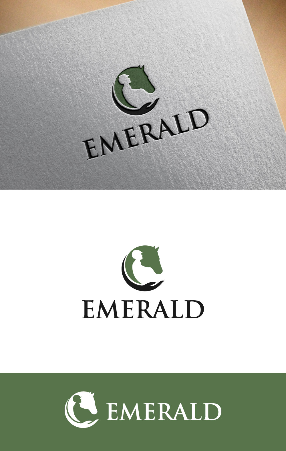 Logo Design by Christopher C for this project | Design #31722945