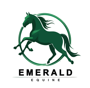 Logo Design by Abdullah Alashkar