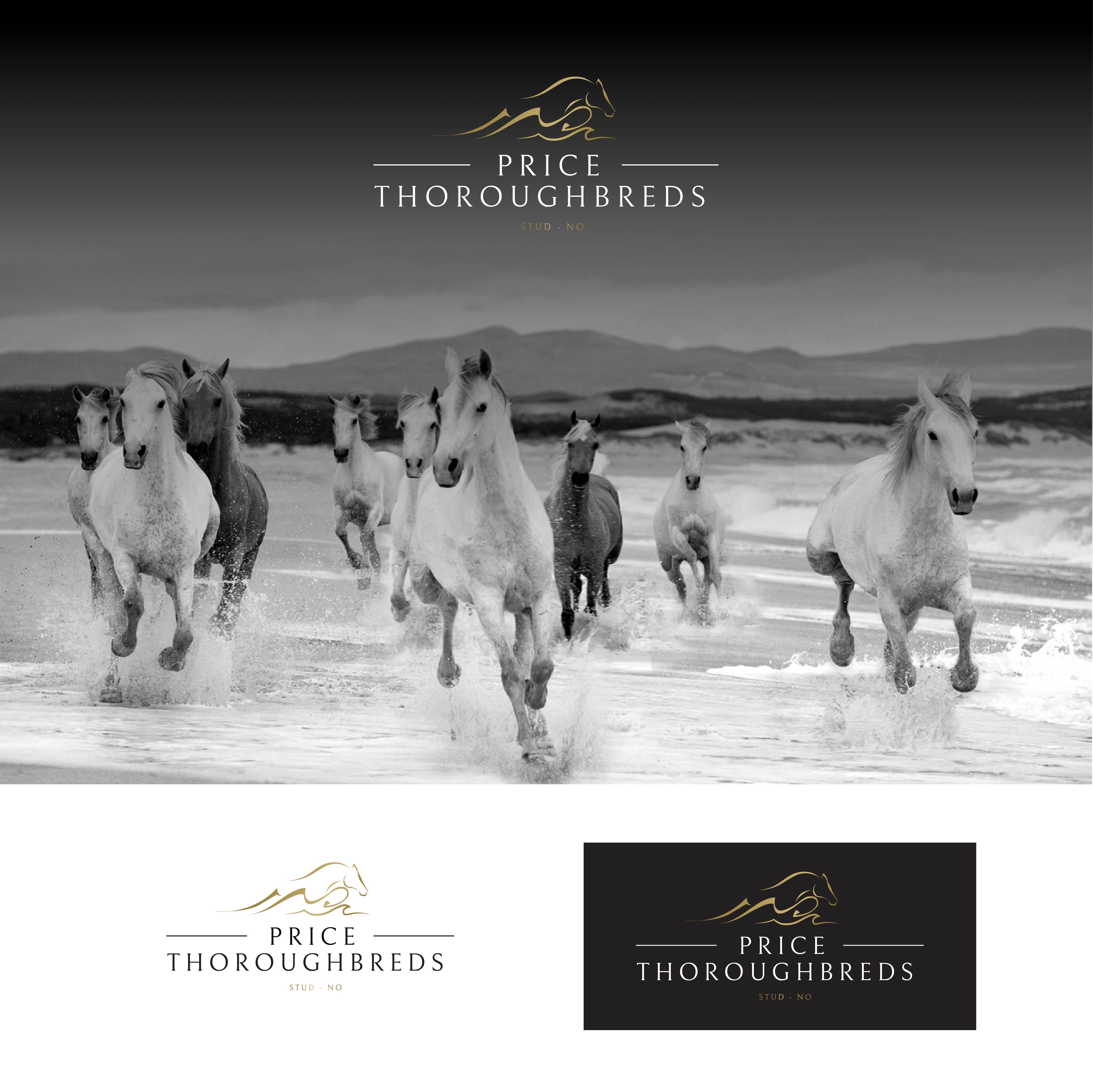 Logo Design by Idea Master Plus for this project | Design #31710435