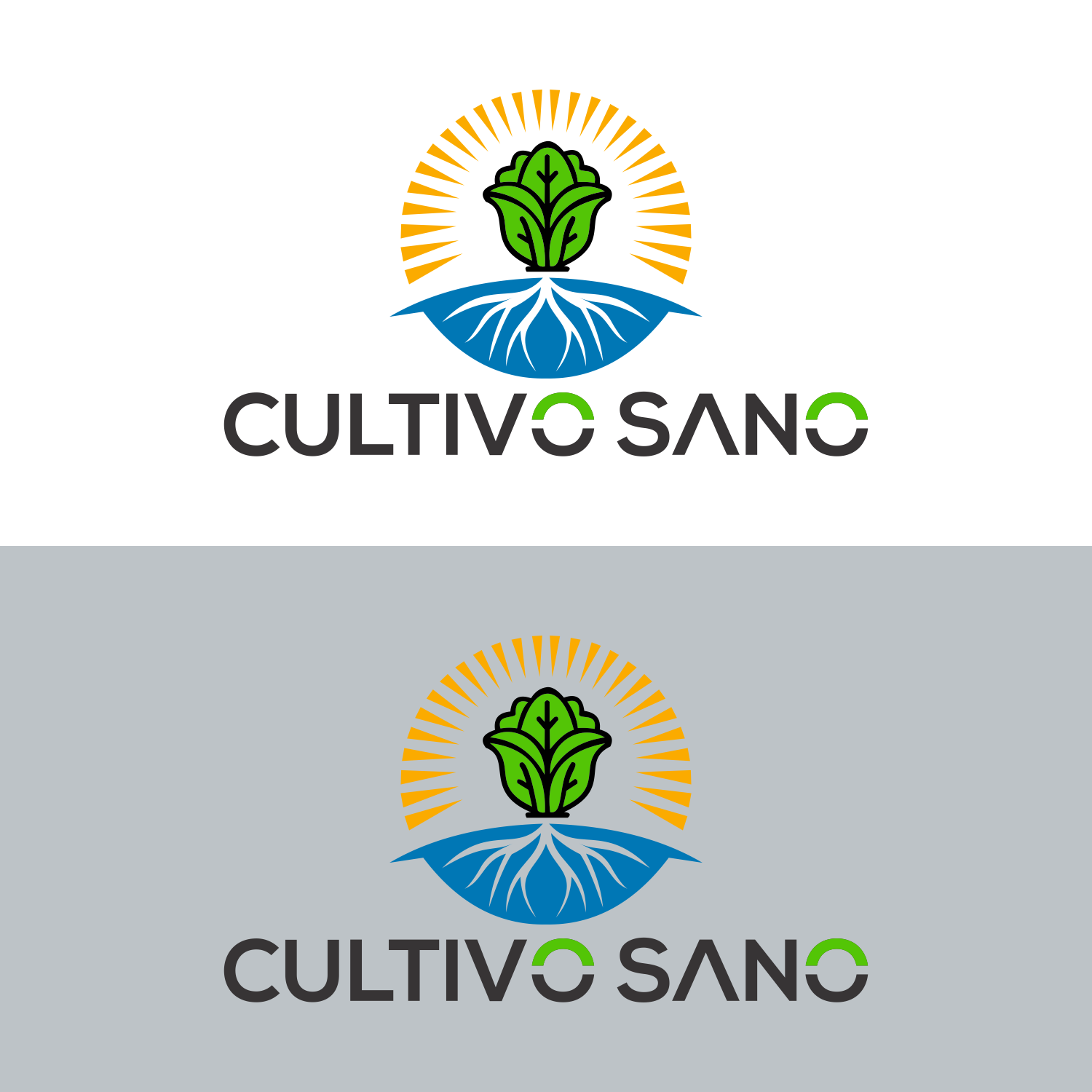 Diseño de Logo por pusing para Leo Suizo S.L. | Diseño #31729070