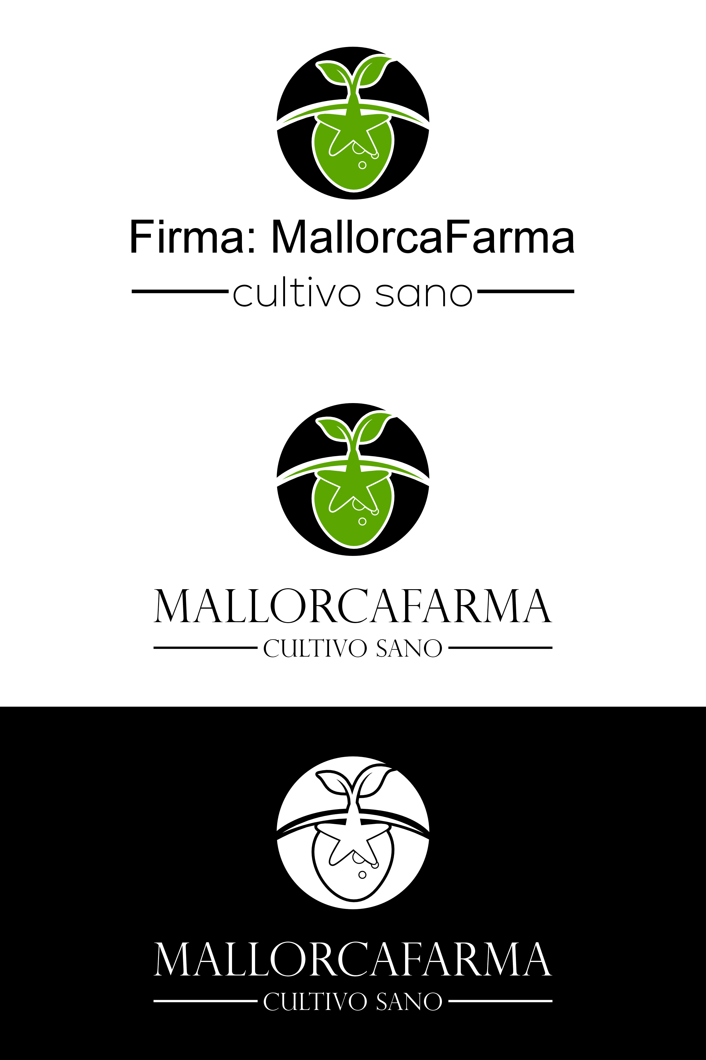 Diseño de Logo por Jaka Suharno para Leo Suizo S.L. | Diseño #31754797