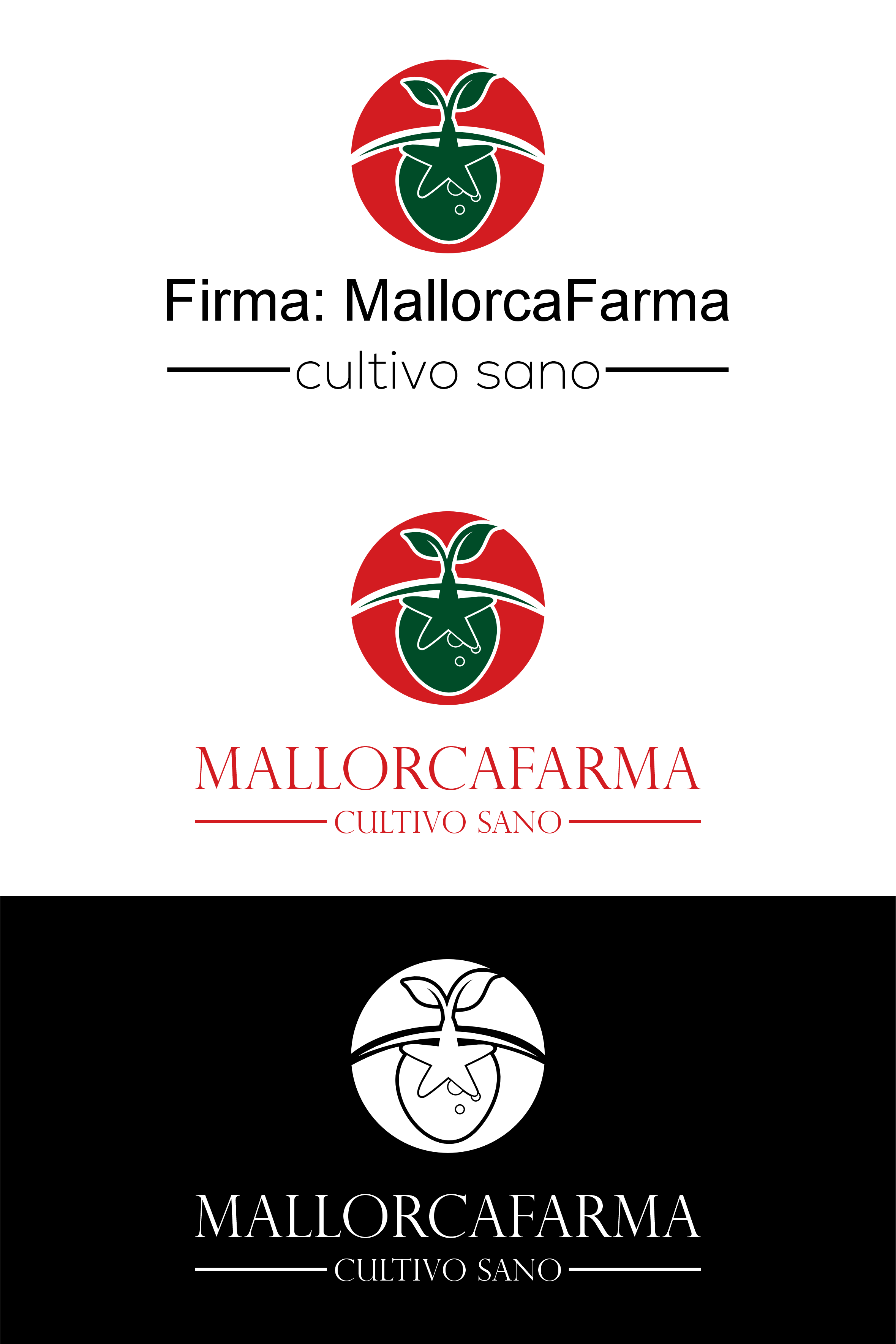 Diseño de Logo por Jaka Suharno para Leo Suizo S.L. | Diseño #31754885